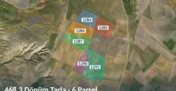 Tek Kümede 468 Dönüm Tarla