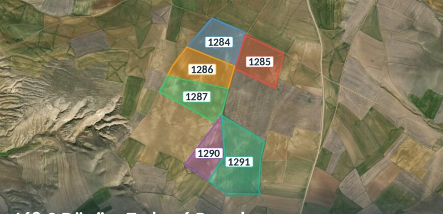 Tek Kümede 468 Dönüm Tarla