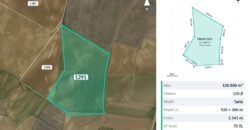 Tek Kümede 468 Dönüm Tarla